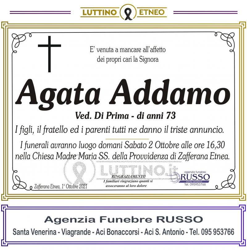 Agata  Addamo 